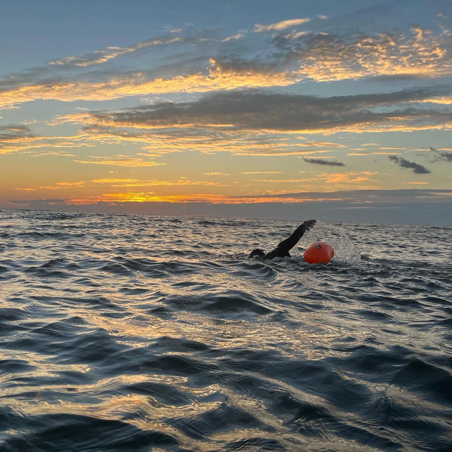 Sundy open-water swimming at sunset