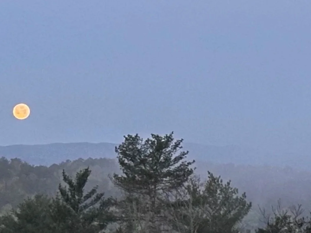 North Georgia mountains